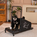 Treadmill for Medium Dogs - Keep Pets Healthy & Fit