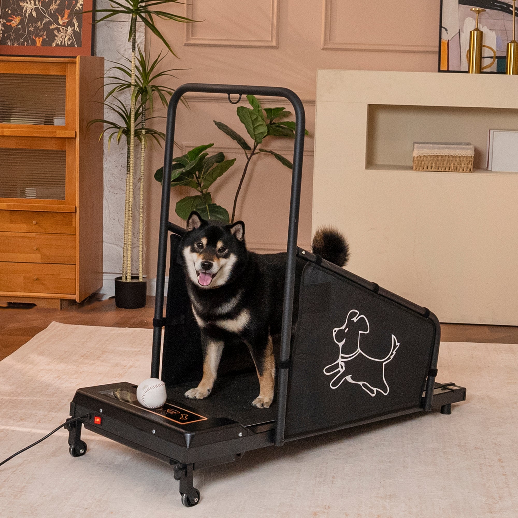 Treadmill for Medium Dogs - Keep Pets Healthy & Fit
