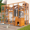 Weatherproof Outdoor Cat Enclosure with Litter Box & Shelf