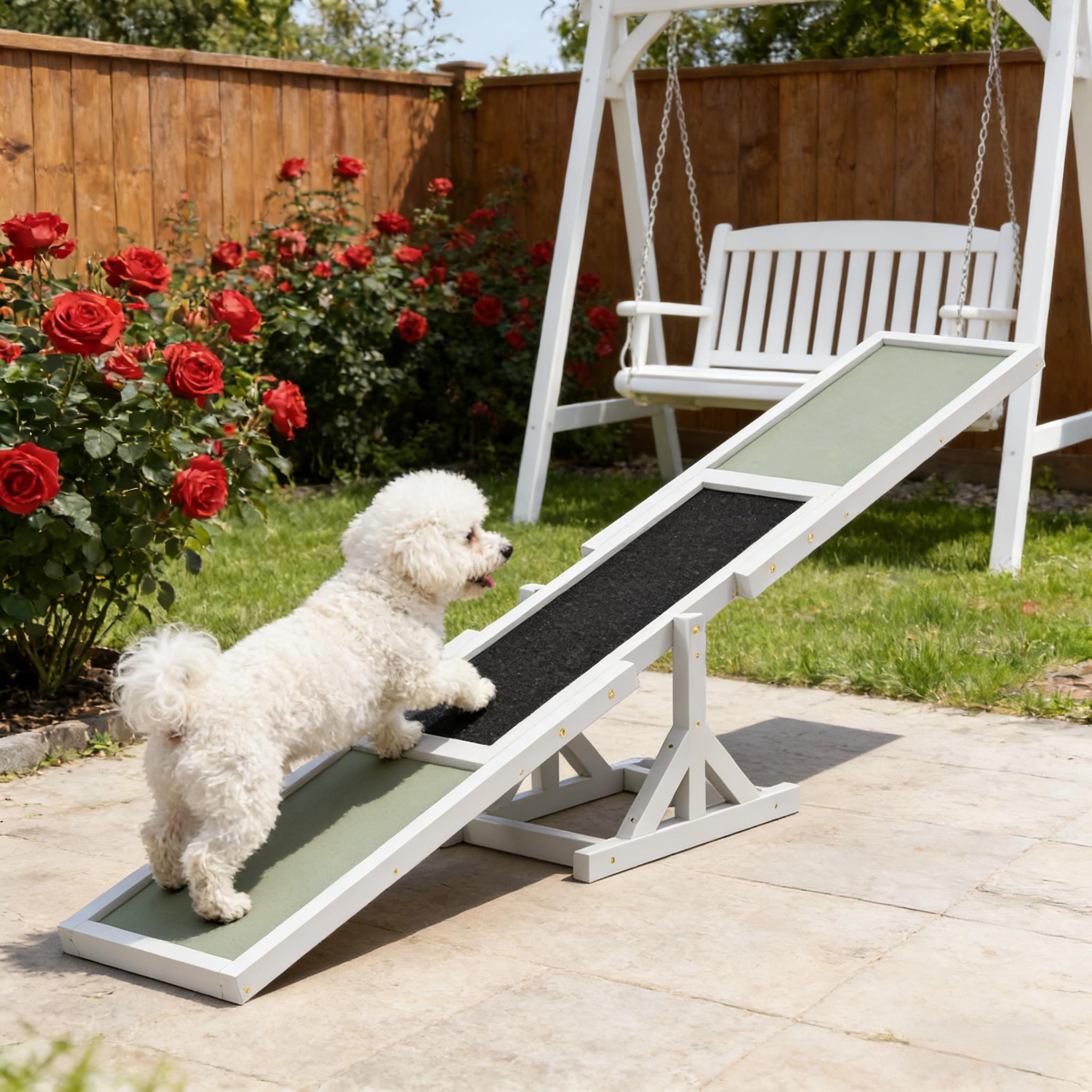 Wooden Pet Agility Seesaw for Training and Fun