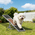 Wooden Dog Agility Seesaw for Training and Fun