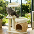31-Inch Cat Tree Tower with Scratching Posts
