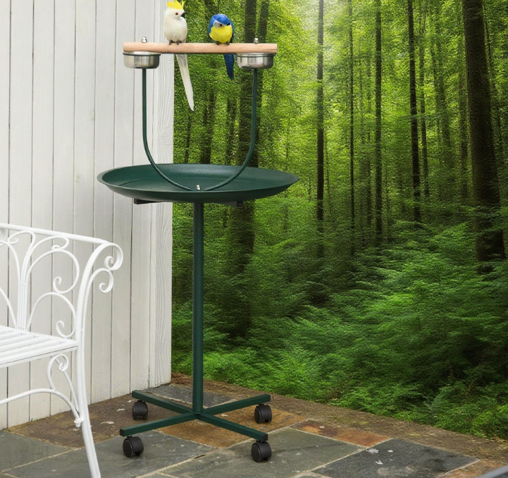 Bird Training Activity Playground