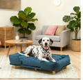 Raised Pet Couch with Comfortable Cushion and Pine Legs