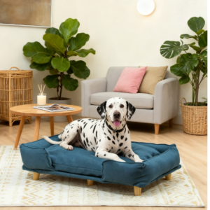 Raised Pet Couch with Comfortable Cushion and Pine Legs