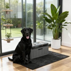 Elevated Dog Bowls with Two Stainless Steel Bowls