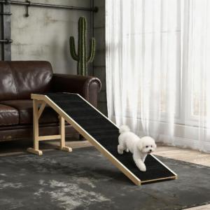 Convenient Dog Ramp for Your Home