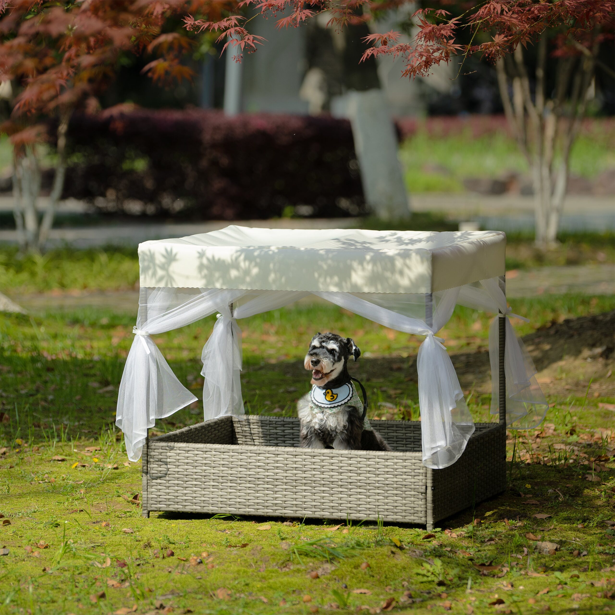 Outdoor Pet Bed with Curtain and Enclosure Furniture